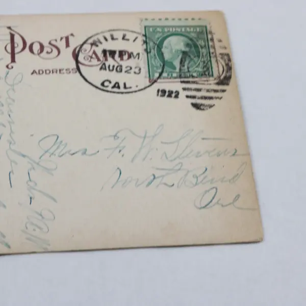 Vintage Carlotta Big Trees Near Eureka California Litho Postcard 1922 Redwoods
