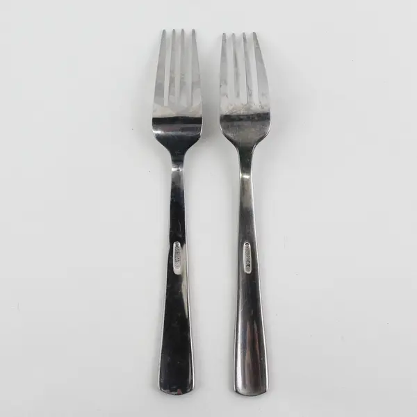 Set of 2 Oneida Aptitude Stainless Dinner Forks