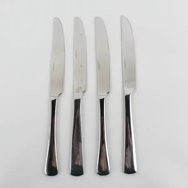 Set of 4 Oneida Aptitude Stainless New French Solid Knives