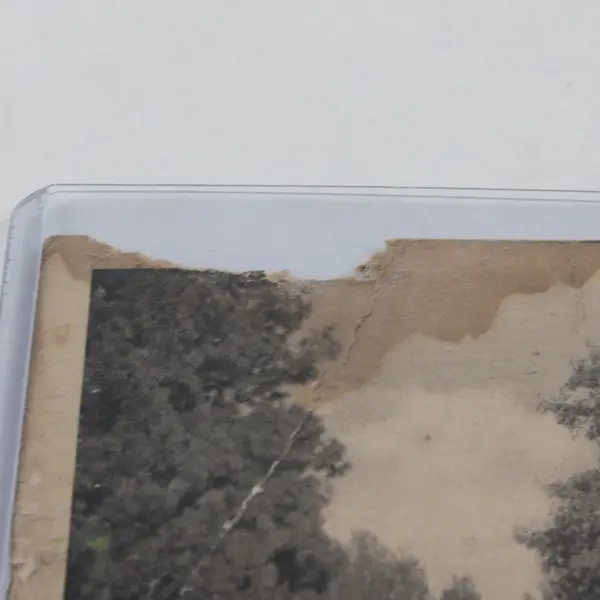 Grants Pass Auto Park Grants Pass Oregon Litho Postcard 1927 Tourist Camp