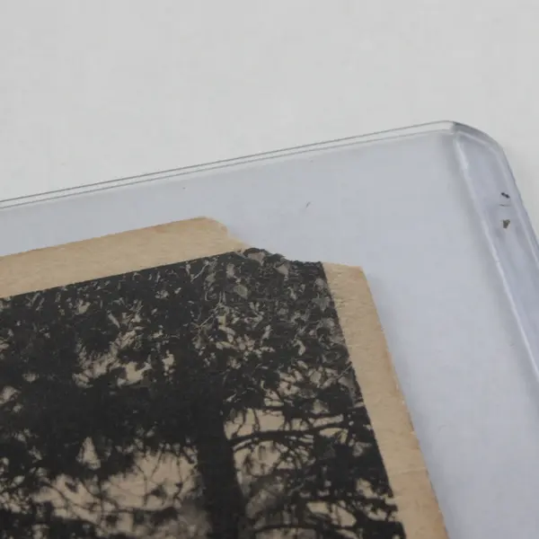 Grants Pass Auto Park Grants Pass Oregon Litho Postcard 1927 Tourist Camp