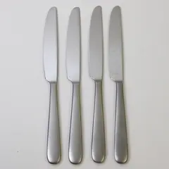 Set of 4 Oneida Zone Stainless French Solid Dinner Knives (3 New)
