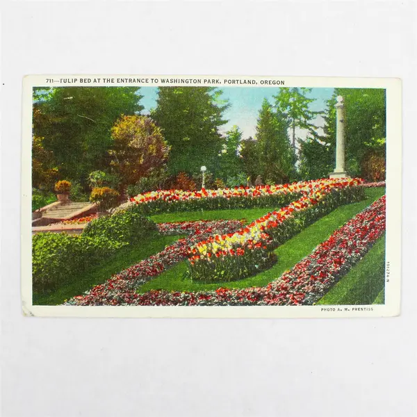 Lot Of 2 Washington Park Portland Oregon Color Litho Postcards 
