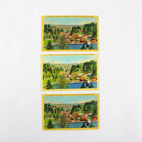 Lot Of 3 View From City Park Vista Bridge Mt Hood Portland Oregon Postcards 
