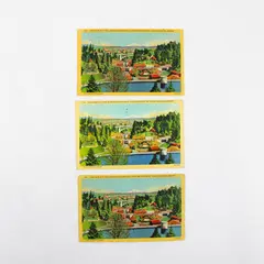 Lot Of 3 View From City Park Vista Bridge Mt Hood Portland Oregon Postcards 
