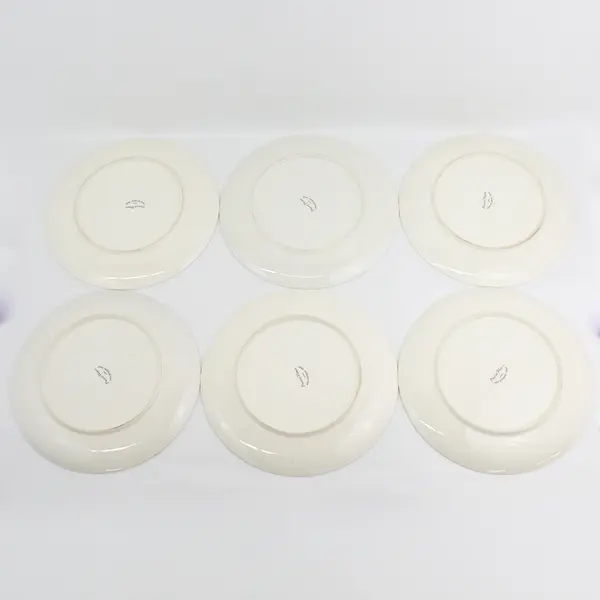 Set of 6 Vintage Prairie Flower Dinner Plates From Japan