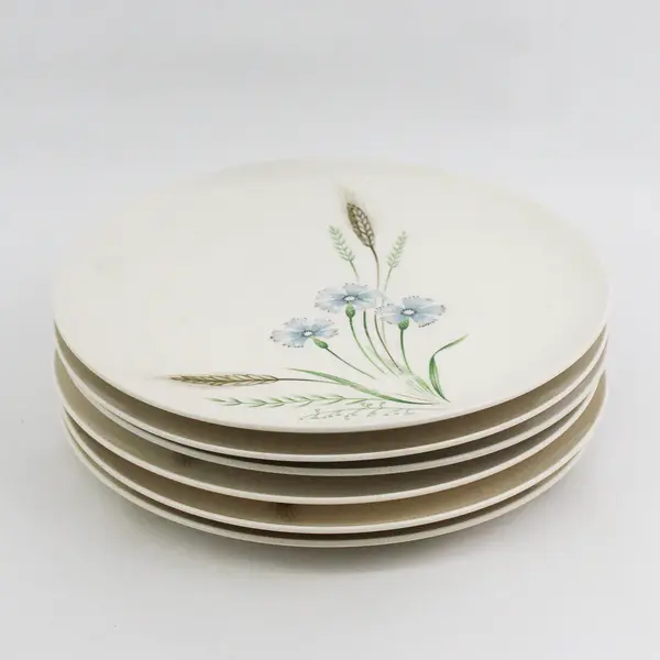 Set of 6 Vintage Prairie Flower Dinner Plates From Japan