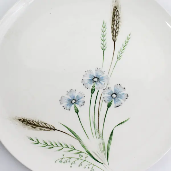 Set of 6 Vintage Prairie Flower Dinner Plates From Japan