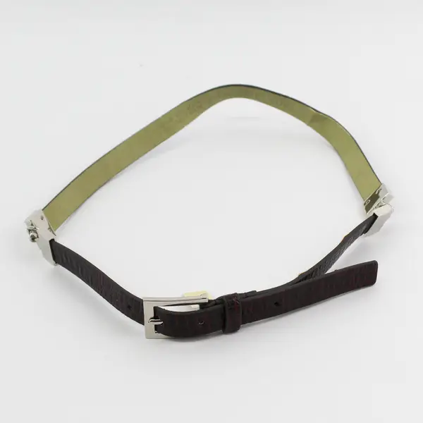 Women's Brown Reptilian-Finish Belt 38in Silver-Tone Buckle NWT