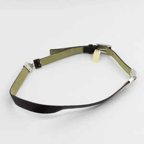 Women's Brown Reptilian-Finish Belt 38in Silver-Tone Buckle NWT