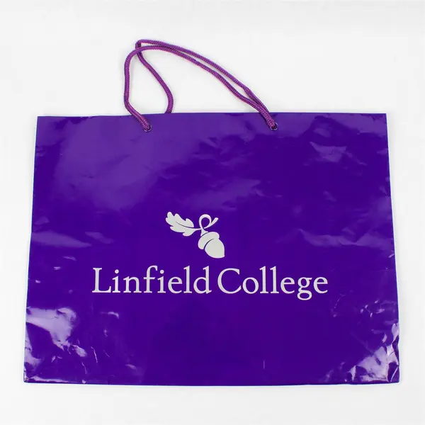 Lot of 6 Assorted Gift Bags Birthday Holiday Party Gift Wrap