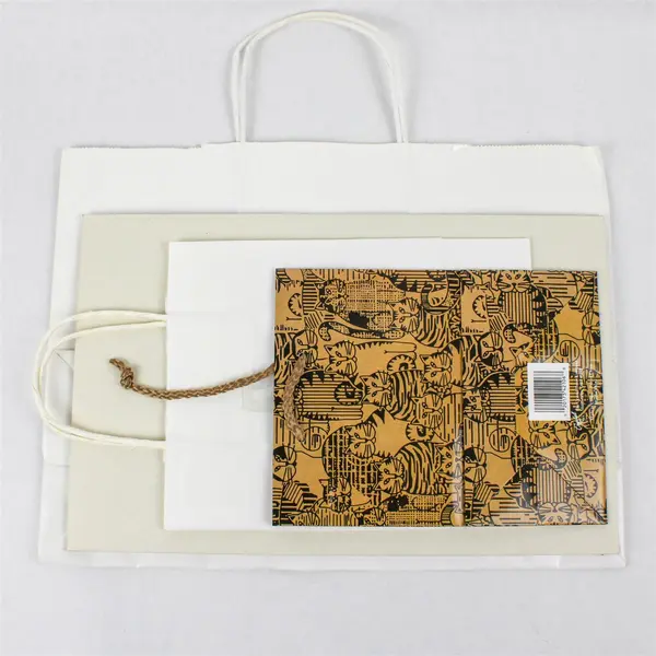 Lot of 6 Assorted Gift Bags & Boxes Birthday Holiday Party Gift Wrap