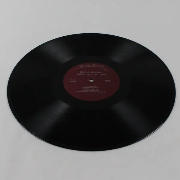 The Florida Boys - From Then Till Now 12" Vinyl Record