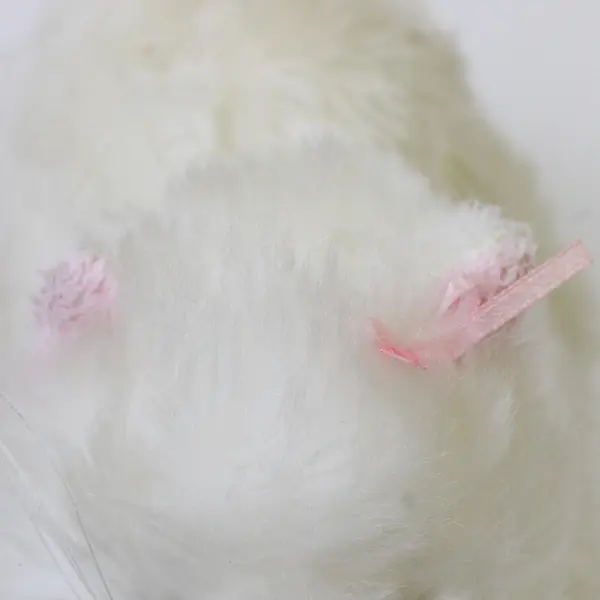 Ganz Webkinz Lil Kinz 8in White Persian Cat Plush HS110 No Code