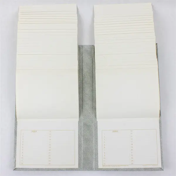 Pioneer Gray Faux Leather Photo Album Gold Accents 4" x 6" Photos