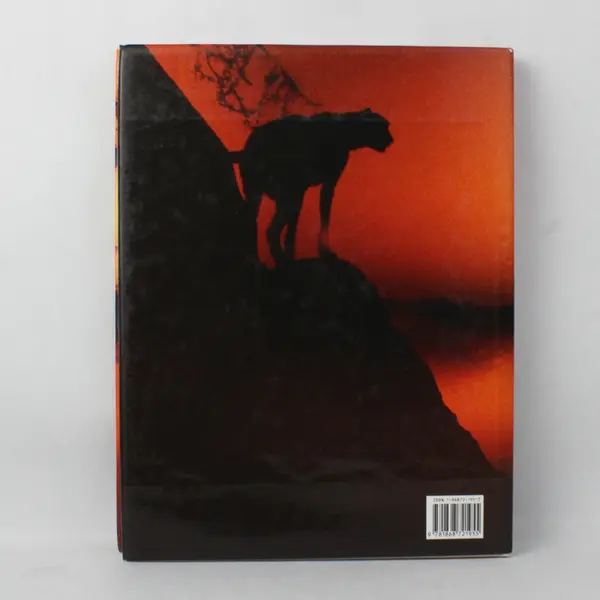 Wild South Africa by Alan Mountain  1998 Hardcover Dust Jacket First Ed Good 