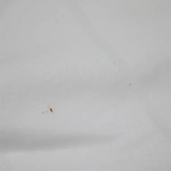 Set of 2 Kohls Luxury Collection Ivory King Size Egyptian Cotton Pillow Cases