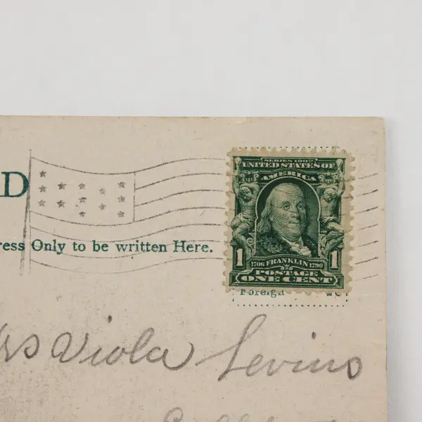 Four Year Old Apple Orchard Hood River Oregon Color Litho Postcard 1909 