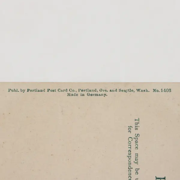 Four Year Old Apple Orchard Hood River Oregon Color Litho Postcard 1909 