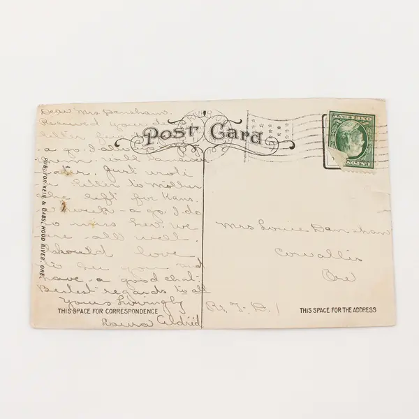 Vintage Mt Hood Hotel Hood River Oregon Litho Postcard 1910