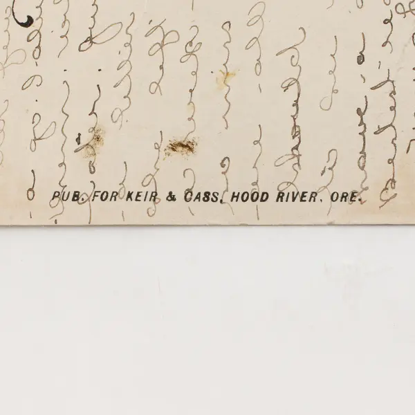 Vintage Mt Hood Hotel Hood River Oregon Litho Postcard 1910