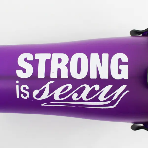 Purple Protein Shaker Bottle No Wire Ball Included