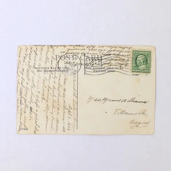 Lot Of 2 Pillars Of Hercules Columbia River Oregon Color Litho Postcards 1909