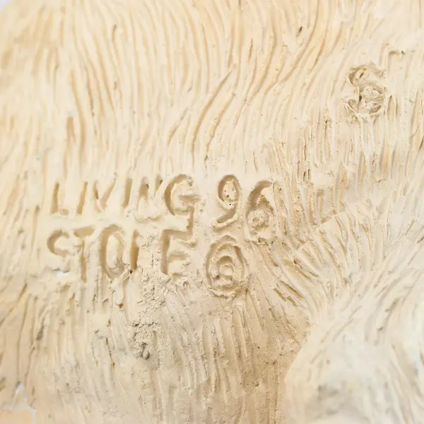 Vintage Living Stone Yellow Labrador with Decoy Duck Figurine 1996 