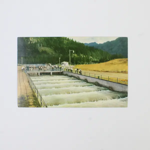 Lot Of 2 Bonneville Dam Columbia River Oregon Color Postcards Union Oil Company