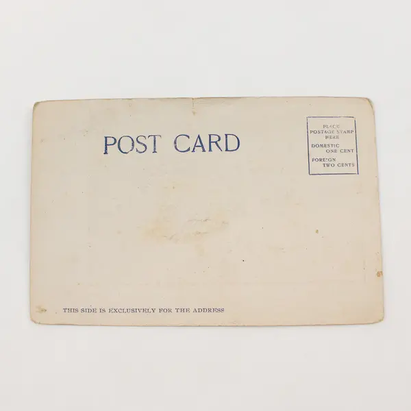 Cockle Clams Tillamook Bay Oregon Litho Postcard Chas Clough Circa 1905