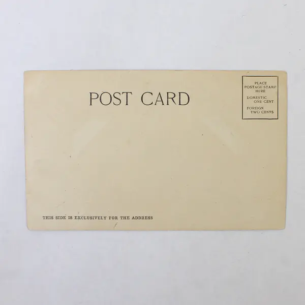 Tillamook Lighthouse Oregon Coast Colorized Litho Postcard DM Averill Circa 1905