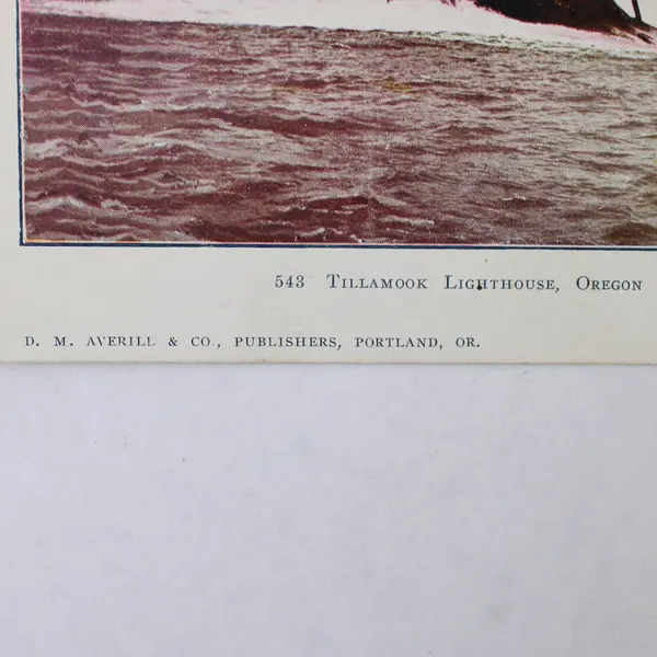 Tillamook Lighthouse Oregon Coast Colorized Litho Postcard DM Averill Circa 1905