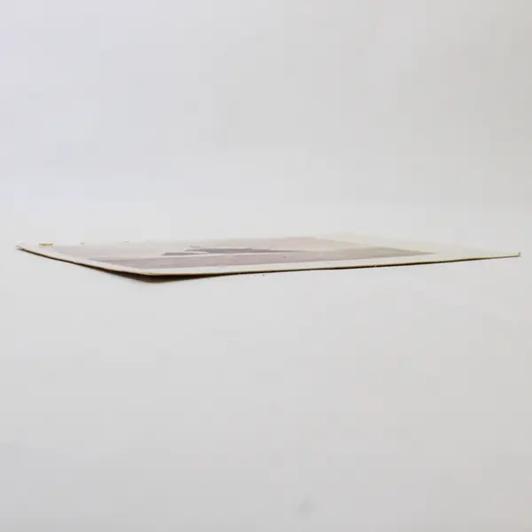 Tillamook Lighthouse Oregon Coast Colorized Litho Postcard DM Averill Circa 1905