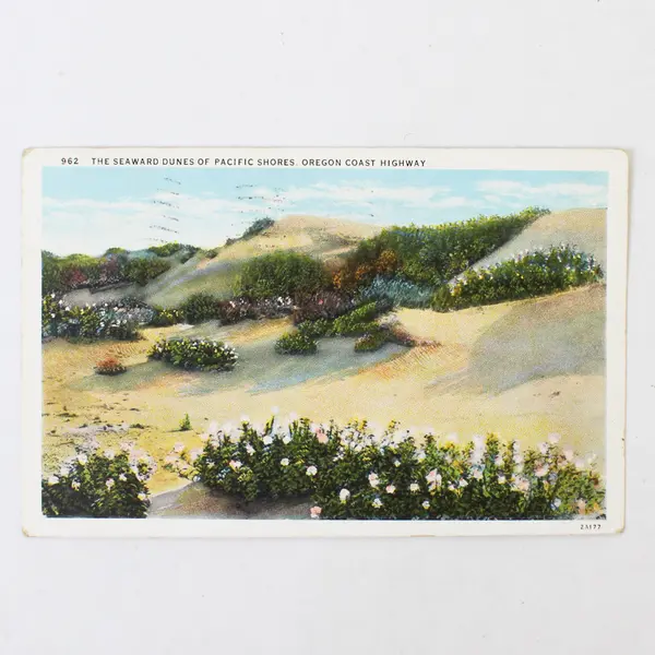 Lot Of 2 Oregon Coast Highway Color Litho Postcards Scotch Broom Seaward Dunes