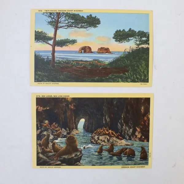Lot Of 2 Oregon Coast Highway Color Litho Postcards Twin Rocks Sea Lion Caves