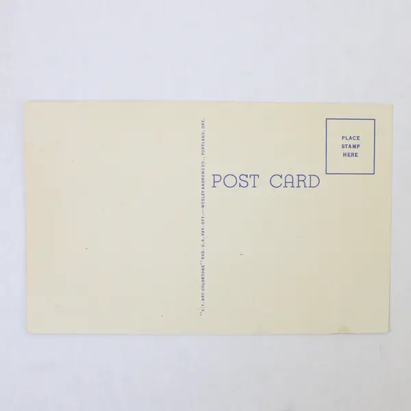 Lot Of 2 Oregon Coast Highway Color Litho Postcards Twin Rocks Sea Lion Caves