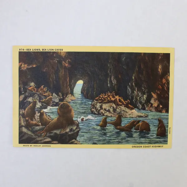Lot Of 2 Oregon Coast Highway Color Litho Postcards Twin Rocks Sea Lion Caves