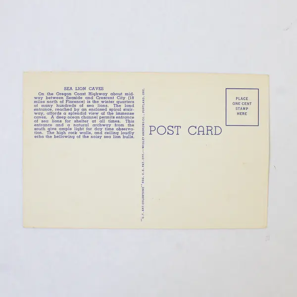 Lot Of 2 Oregon Coast Highway Color Litho Postcards Twin Rocks Sea Lion Caves