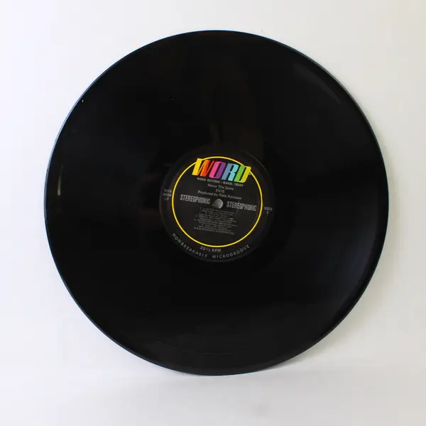 Evie Never The Same 12"  Vinyl Record