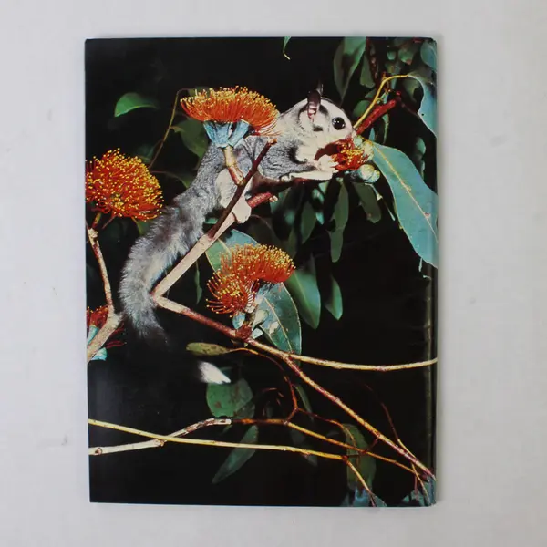 Australian Women's Weekly The Living Bush PB c1960 Illustrated Good Condition