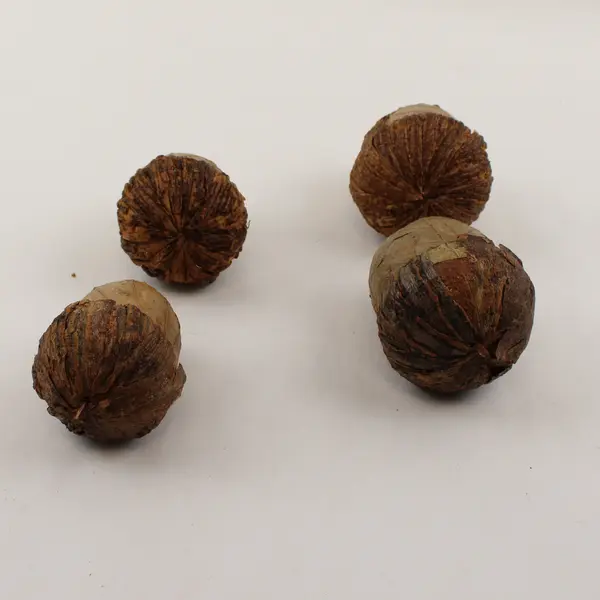 Set of 4 Acorn Figurines Rustic Fall Thanksgiving Tabletop Decor