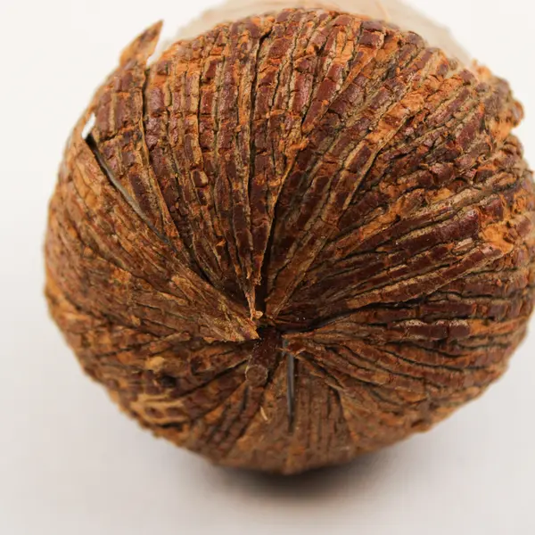 Set of 4 Acorn Figurines Rustic Fall Thanksgiving Tabletop Decor