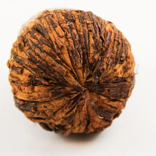 Set of 4 Acorn Figurines Rustic Fall Thanksgiving Tabletop Decor