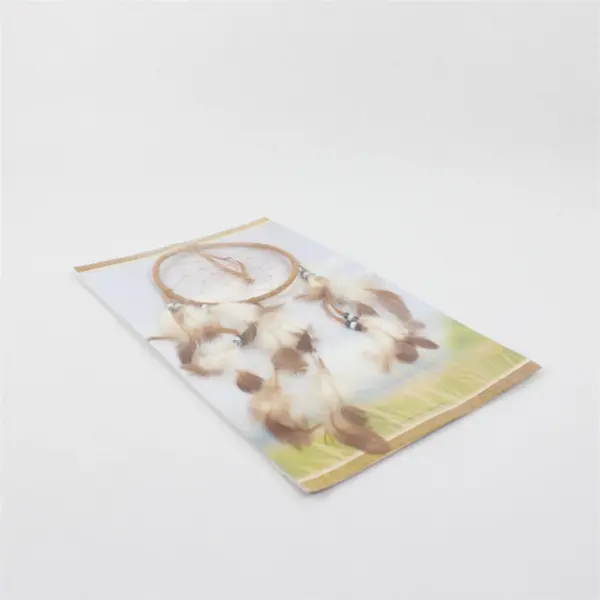 New St. Joseph's Indian School Dream Catcher Native American 14in x 8.5in