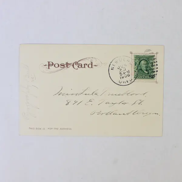 An Oregon Fir Tree Color Litho Postcard 1906 Old Growth Logging