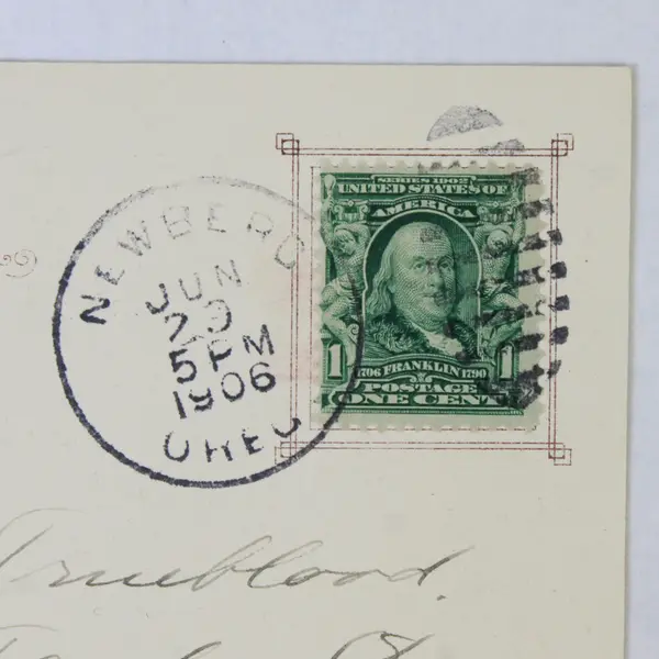 An Oregon Fir Tree Color Litho Postcard 1906 Old Growth Logging