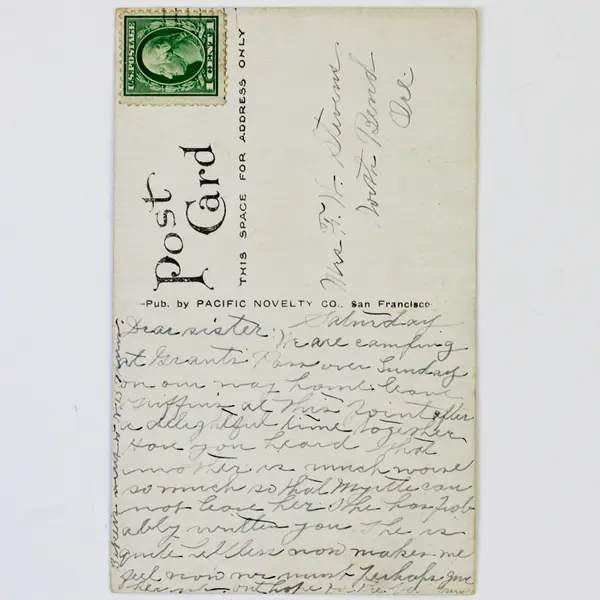 Ashland Creek Chautauqua Park Ashland Oregon Litho Postcard