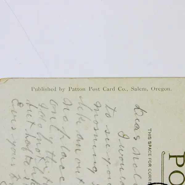 Collall Amusement Street Oregon State Fairground Salem Color Litho Postcard 1911