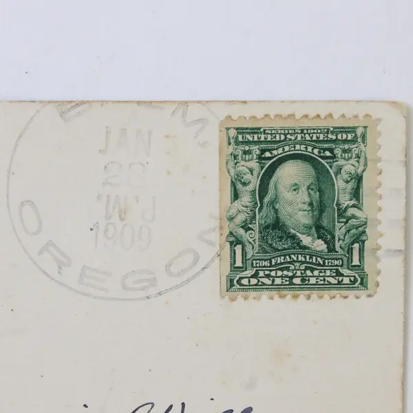 Chinese Pheasant Oregon's Famous Game Bird Litho Postcard Balm Oregon Postmark