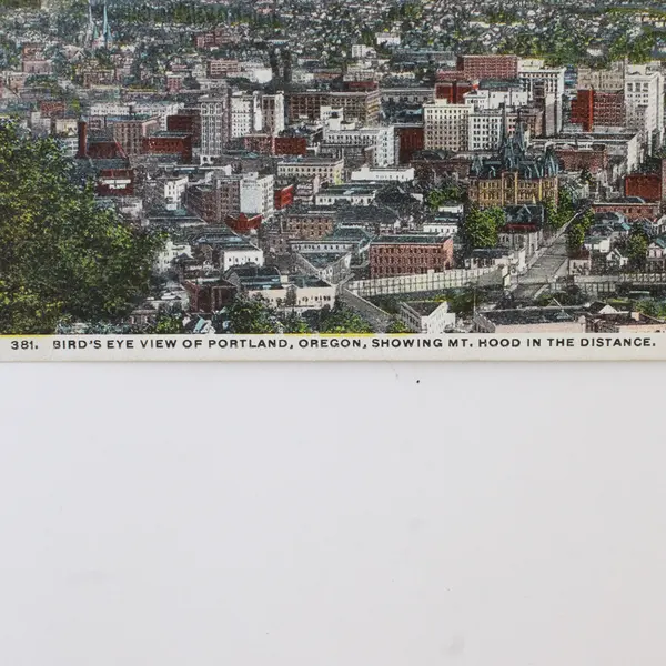 Birds Eye View Portland Oregon Mt Hood Color Postcard 1910s Meier & Frank